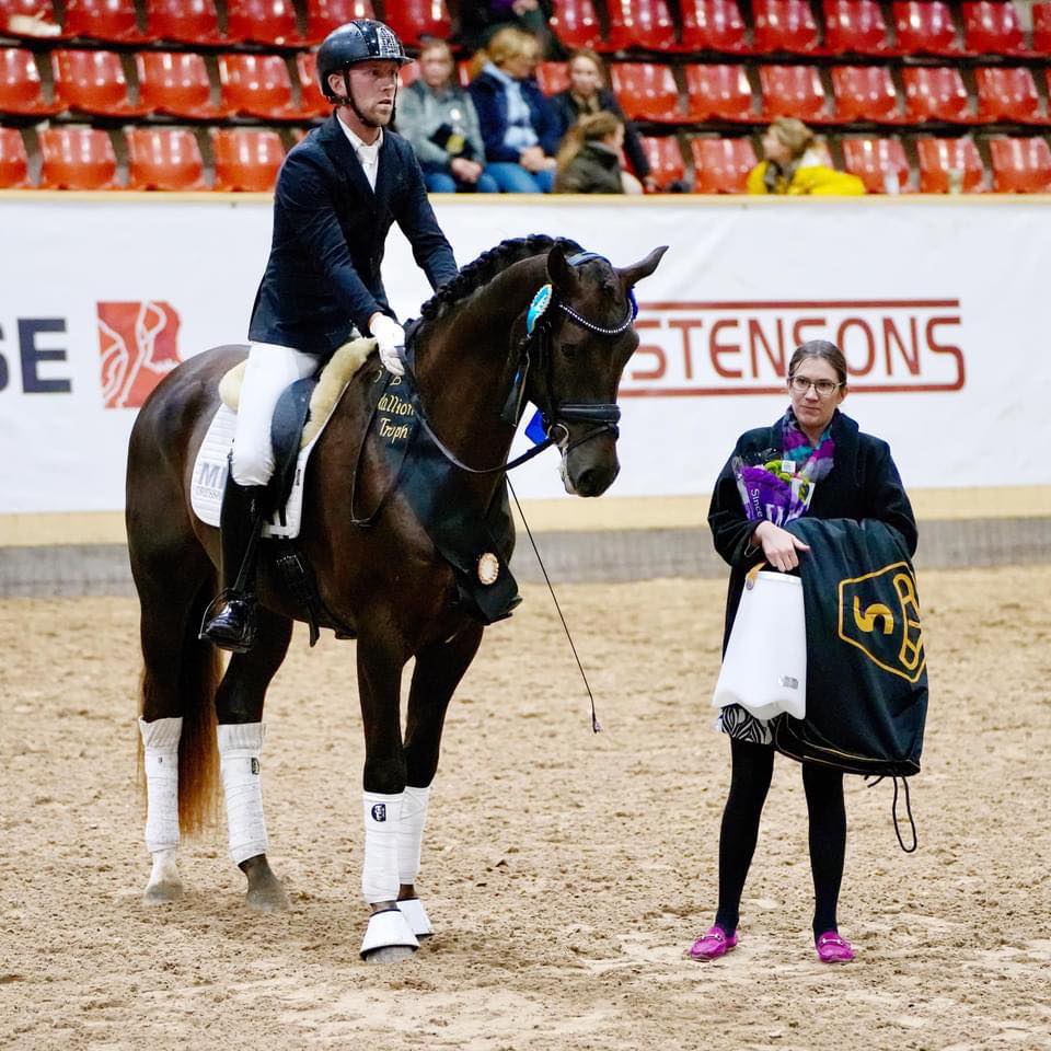 Vinnare av SWB Stallion Trophy 2023